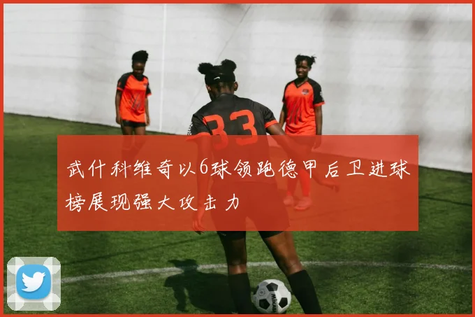 武什科维奇以6球领跑德甲后卫进球榜展现强大攻击力
